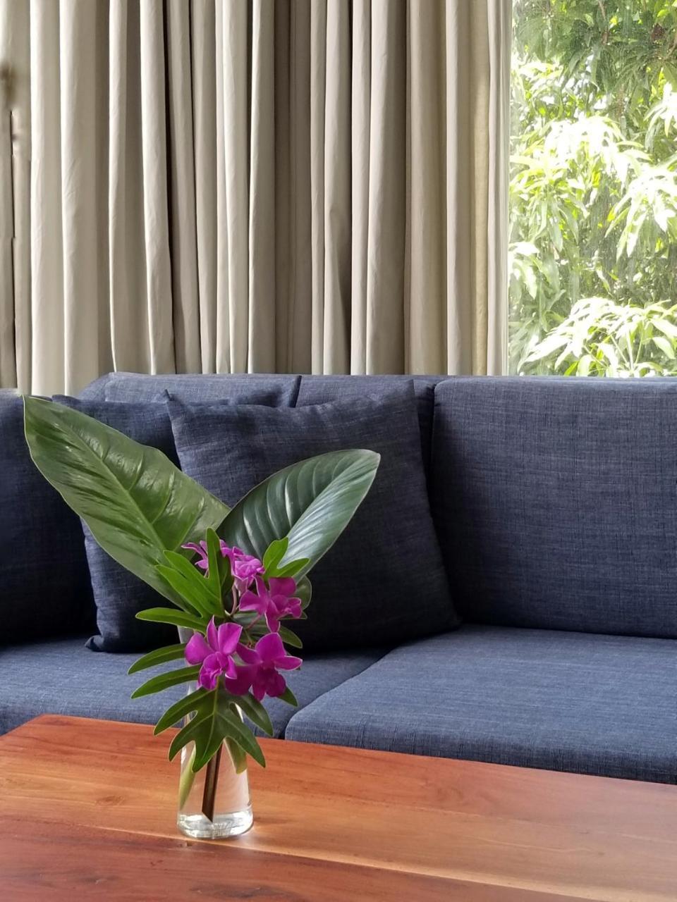 Angkor Siesta Villa 시엠리아프 외부 사진